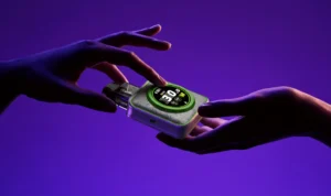 Descripción de la imagen